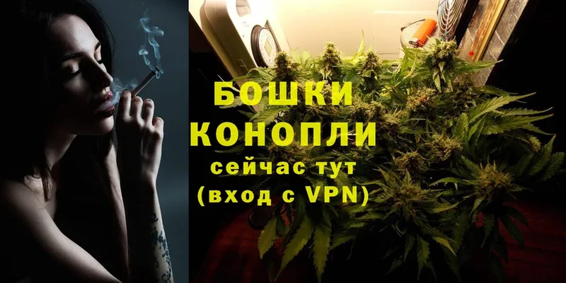 Бошки Шишки OG Kush  где найти наркотики  Наволоки 